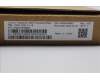 Lenovo DT_KYB Tra USB AI KB BLK_BR-PT pour Lenovo ThinkSystem ST650 V3 (7D7A)