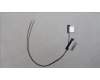 Lenovo ANTENNA ANTENNA W 21KK M+A pour Lenovo ThinkBook 16 G6 IRL (21KH/21NR)
