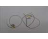 Lenovo ANTENNA FRU WLAN Antenna Aux&Main 100WG4 pour Lenovo 100w Gen 5 (83LD/83LE)