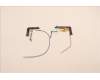 Lenovo ANTENNA WWAN ANT KIT,AVX pour Lenovo ThinkPad X1 Extreme Gen 5 (21DE/21DF)