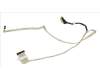 HP Display Cable pour HP 250 G1