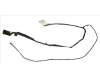HP CBI_LCD CABLE pour HP Pavilion g6-2300
