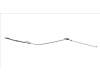 HP LCD Cable Wwan pour HP ProBook 440 G6