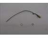 Lenovo ANTENNA Fru,148mm RF cable_LUX pour Lenovo ThinkCentre M75q Gen 5