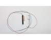 Lenovo ANTENNA WWAN KIT,HighTEK pour Lenovo ThinkPad L560 (20F1/20F2)