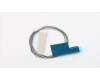 Lenovo ANTENNA Fru, Lx 8L Think Front ANT_450mm pour Lenovo ThinkCentre M710T (10MA/10QK/10R8)