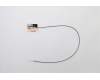 Lenovo ANTENNA Fru, Fan-less Nano WLAN AUX ANT pour Lenovo ThinkCentre M75n (11G4)