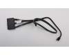 Lenovo CABLE Fru F_IO U3 420A610_B 28pin_F pour Lenovo ThinkStation P320
