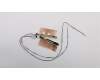 Lenovo ANTENNA FRU ANTENNA kit for Wlan/WWAN pour Lenovo ThinkPad X270 (20HN/20HM)