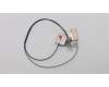 Lenovo ANTENNA FRU WLAN Antenna Kit pour Lenovo ThinkPad E480 (20KQ/20KN)