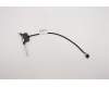 Lenovo CABLE Fru 300mm 1 Port Rear U2 HP cable pour Lenovo ThinkCentre M720s (10U6)