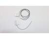 Lenovo ANTENNA FRU Antenna for Wlan(main+AUX) pour Lenovo ThinkPad L380 (20M5/20M6)