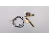 Lenovo ANTENNA ANTENNA,WWAN,WLAN,ASM,AMP pour Lenovo ThinkPad T14 Gen 1 (20S0/20S1)