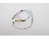 Lenovo ANTENNA ANTENNA,WWAN+WLAN,Speed pour Lenovo ThinkPad T14s (20T1/20T0)