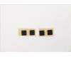 Lenovo CAP Rubber Cap LCD Mainstream pour Lenovo ThinkPad Edge E430c