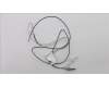 Lenovo FRU Antenna WLAN 15W MS(WNC) pour Lenovo ThinkPad Edge E535