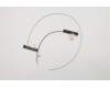 Lenovo ANTENNA Antenna L 80MK pour Lenovo Yoga 900-13ISK (80MK/80SD)