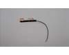 Lenovo ANTENNA ANTENNA H 83AL pour Lenovo IdeaPad Pro 5-14APH8 (83AM)