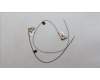 Lenovo ANTENNA Antenna L 82Y5 MAIN+AUX pour Lenovo Legion Slim 5-14APH8 (82Y5)