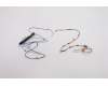 Lenovo ANTENNA ANTENNA_WLAN+WWAN Antenna ASM pour Lenovo ThinkPad L15 Gen 1 (20U3/20U4)