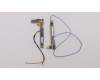 Lenovo ANTENNA KIT ANTENNA,WWAN,Amphenol pour Lenovo ThinkPad X1 Carbon 7th Gen (20QD/20QE)