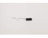Lenovo ANTENNA Tiny6 Front antenna pour Lenovo ThinkCentre M80q Gen 3 (11XJ)