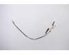 Lenovo ANTENNA WLAN Antenna M+A pour Lenovo ThinkPad E14 (20RA/20RB)