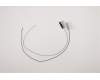 Lenovo ANTENNA Fru, AIO350_27 ANTENNA_Chilisin pour Lenovo IdeaCentre AIO 3-27IMB05 (F0EY)