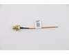Lenovo ANTENNA Fru, Fan-less Nano LTE SMA CABLE pour Lenovo ThinkCentre M90n-1 (11AD/11AF/11AH/11AK)