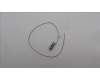 Lenovo ANTENNA Fru,HN Rear antenna_LUX pour Lenovo ThinkStation P7 (30F2)