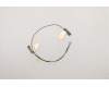 Lenovo ANTENNA WLAN Antenna MAIN+AUX<WNC> pour Lenovo ThinkPad P1 Gen 3 (20TH/20TJ)