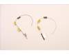 Lenovo ANTENNA FRU Ant ACCY KITS WLAN AL JT6C1 pour Lenovo ThinkPad P16s Gen 2 (21K9)