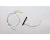 Lenovo ANTENNA Antenna WW Main&Aux HT 300WG4 pour Lenovo 300w Yoga Gen 4 (82VM/82VN)