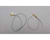 Lenovo ANTENNA FRU Antenna WLAN cable 500W Gen4 pour Lenovo 500w 2in1 G5 (83LH)