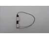 Lenovo ANTENNA FRU ANTENNA KE611 WLAN MAIN+AUX pour Lenovo ThinkPad E16 Gen 1 (Type 21JN)