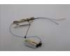 Lenovo ANTENNA FRU ACCY KITS ANT WWAN pour Lenovo P16v Gen 1 (21FC/21FD)