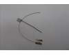 Lenovo ANTENNA FRU ANTENNA WL(Main+Aux)_Fenrir3 pour Lenovo ThinkPad X1 Gen 12 (21KC/21KD)