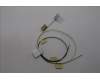 Lenovo ANTENNA FRU ANTENNA,WLAN,Main+ AUX,Blanc pour Lenovo ThinkPad L14 Gen 6 (21SF)