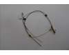 Lenovo ANTENNA FRU ANT,AL,WLAN,Main+ AUX,Blanc pour Lenovo ThinkPad L14 Gen 6 (21SF)
