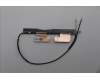 Lenovo ANTENNA FRU ANTENNA WLAN pour Lenovo ThinkPad P14s G6 (21QT/21QU)