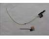 Lenovo ANTENNA FRU ANTENNA WLAN (Main+Aux)_Abby pour Lenovo ThinkPad L13 Gen 6 (21R6)