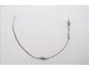 Lenovo ANTENNA ANTENNA F-0G-JV-0282-001 pour Lenovo ThinkPad T16 G3 (21V5)