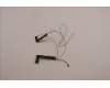 Lenovo ANTENNA Antenna WWAN&WLAN,Luxshare pour Lenovo ThinkPad Z16 G1 (21D4/21D5)