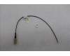 Lenovo ANTENNA QC Neo50q SMA RF Cable_HB pour Lenovo ThinkCentre Neo 50q QC (13C9)