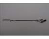 Lenovo ANTENNA 8.2L ARL 2_in_1 ant_FIT pour Lenovo ThinkCentre Neo 50s Gen 6 (13DN)