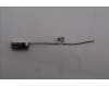 Lenovo ANTENNA Neo50q-5 Front antenna_SPEED pour Lenovo ThinkCentre Neo 50q Gen 6 (13HT)