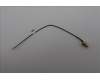 Lenovo ANTENNA 170mm SMA RF Cable_LUX pour Lenovo V100q (13GF)