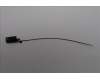 Lenovo ANTENNA GB10 main antenna_AWAN pour Lenovo ThinkStation PGX (30KL)