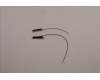 Lenovo ANTENNA KIT_WLAN Antenna_Amphenol pour Lenovo ThinkPad X1 Nano Gen 2 (21E8/21E9)