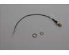 Lenovo ANTENNA Fru,148mm RF cable_HB pour Lenovo ThinkCentre M75q Gen 5